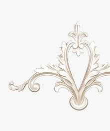 Veneer Accessories